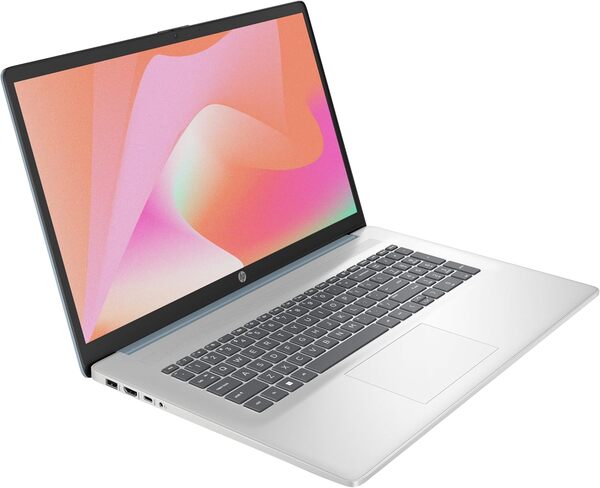 HP 17-cn3003sf Ordinateur Portable 17,3