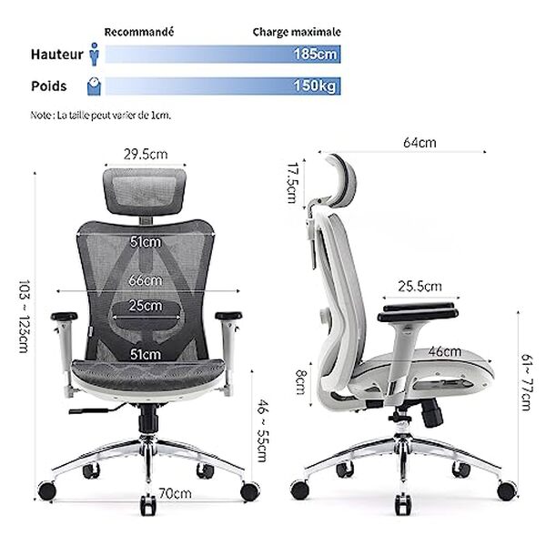 Découvrez notre avis sur le fauteuil ergonomique SIHOO avec support lombaire : confort, ajustabilité et bienfaits pour votre dos au quotidien.